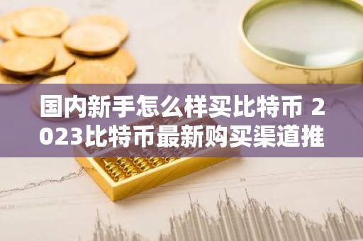 国内新手怎么样买比特币 2023比特币最新购买渠道推荐