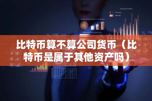 比特币算不算公司货币（比特币是属于其他资产吗）