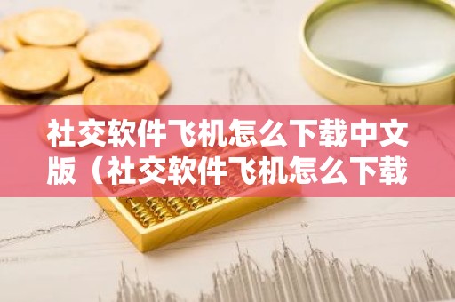 社交软件飞机怎么下载中文版（社交软件飞机怎么下载中文版苹果）